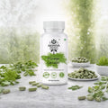 MORINGA CAPSULES (60 Pieces)